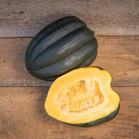 Autumn Delight – Acorn Squash Seed