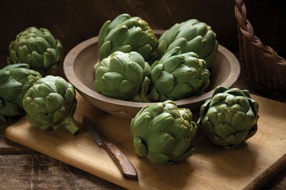 Tavor – Organic Artichoke Seed