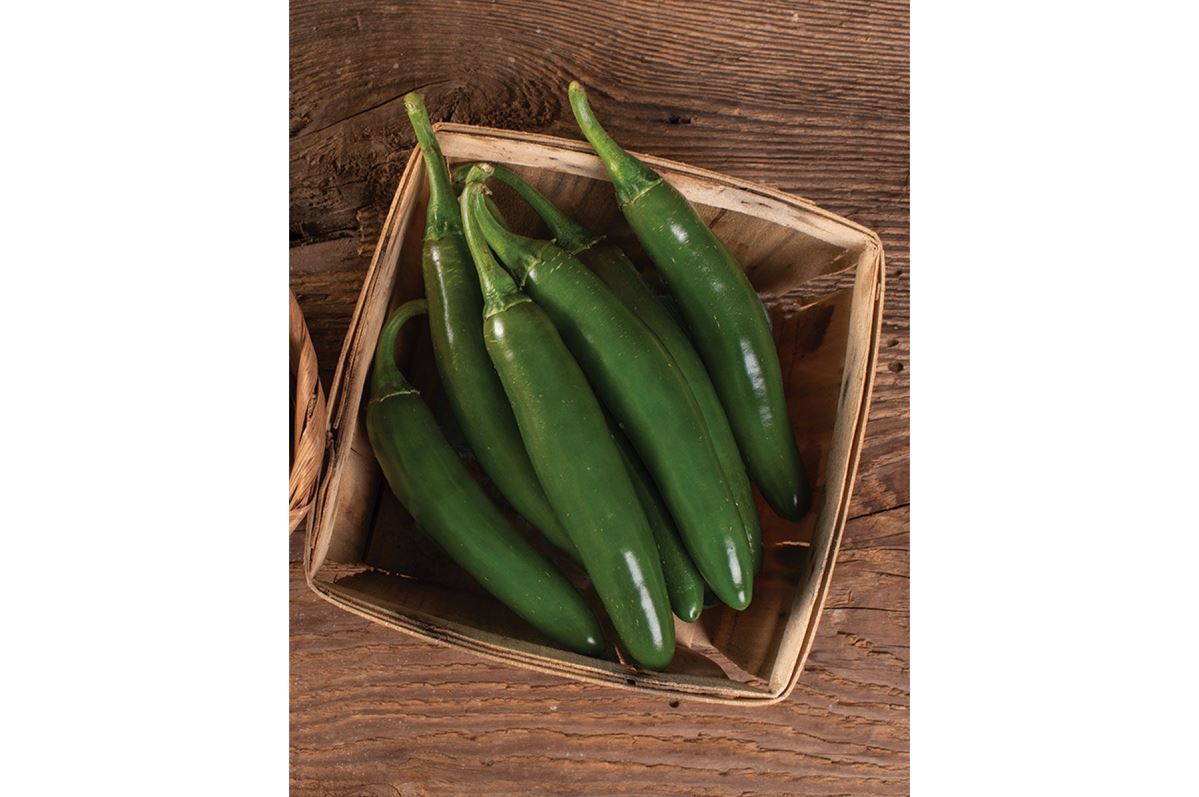 Altiplano – Serrano Pepper Seed