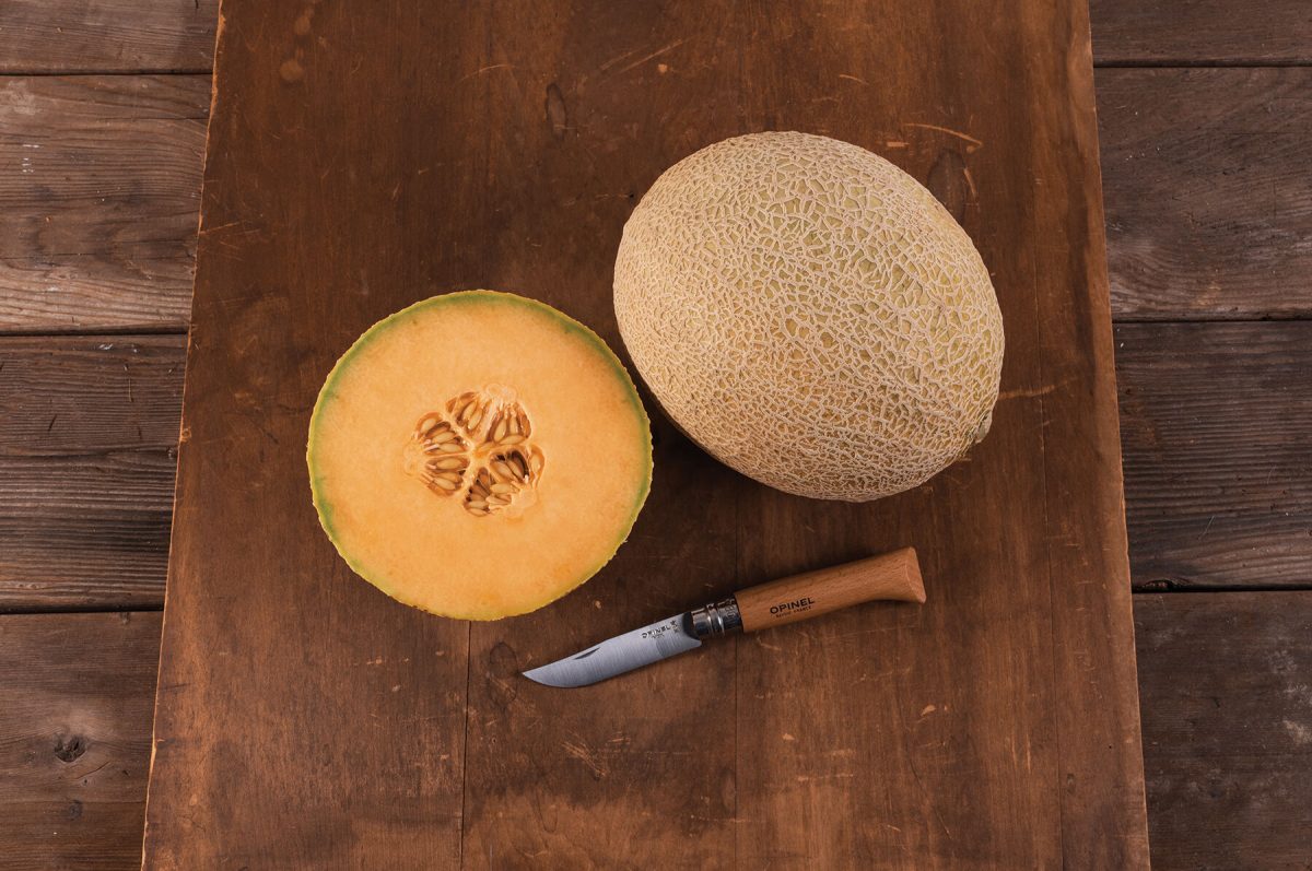 Triton – Melon Seed