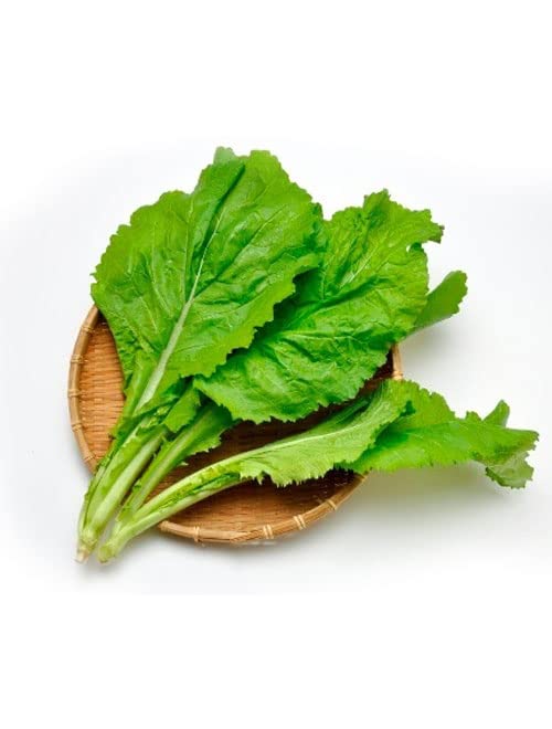 Mustard, Sarso Saag Leaves Vegetable Seeds