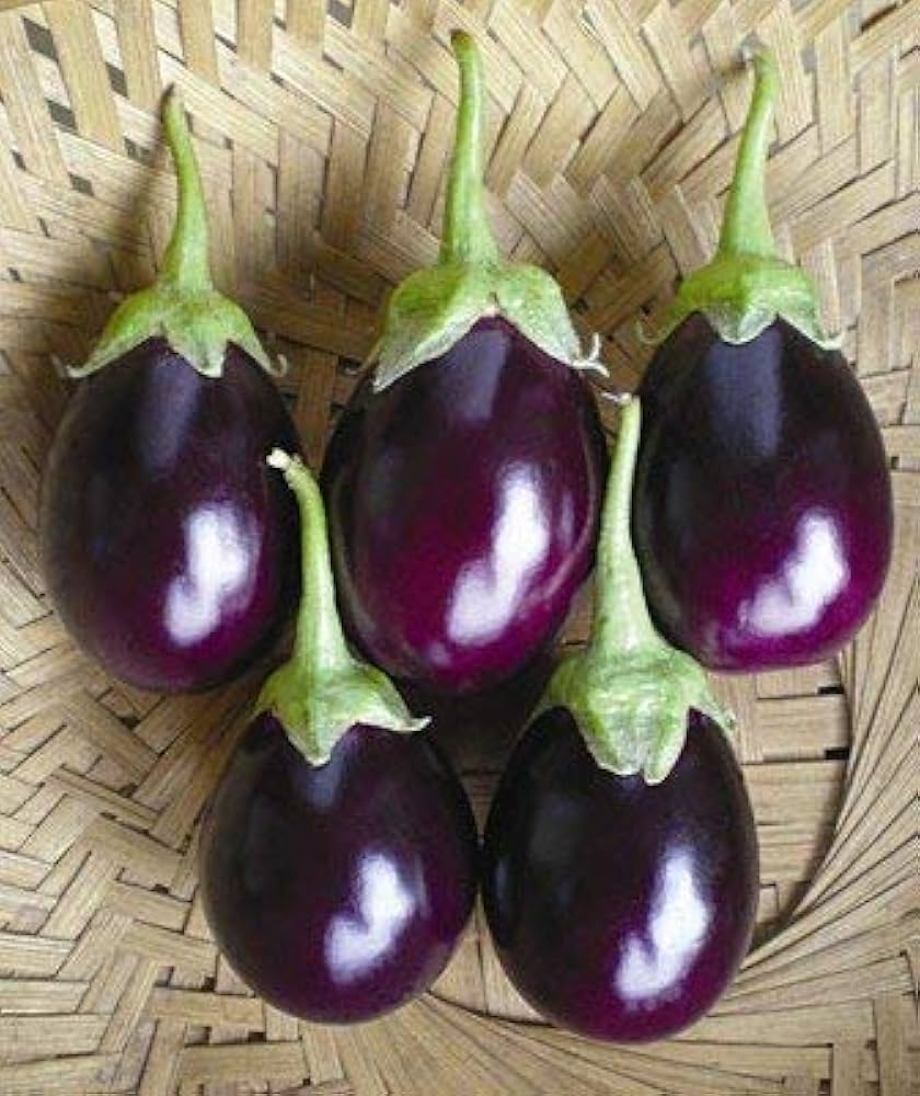 Brinjal Sona Babu Vegetable Seeds