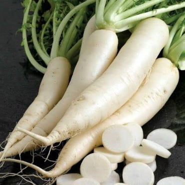 Radish Japani White Vegetable Seeds