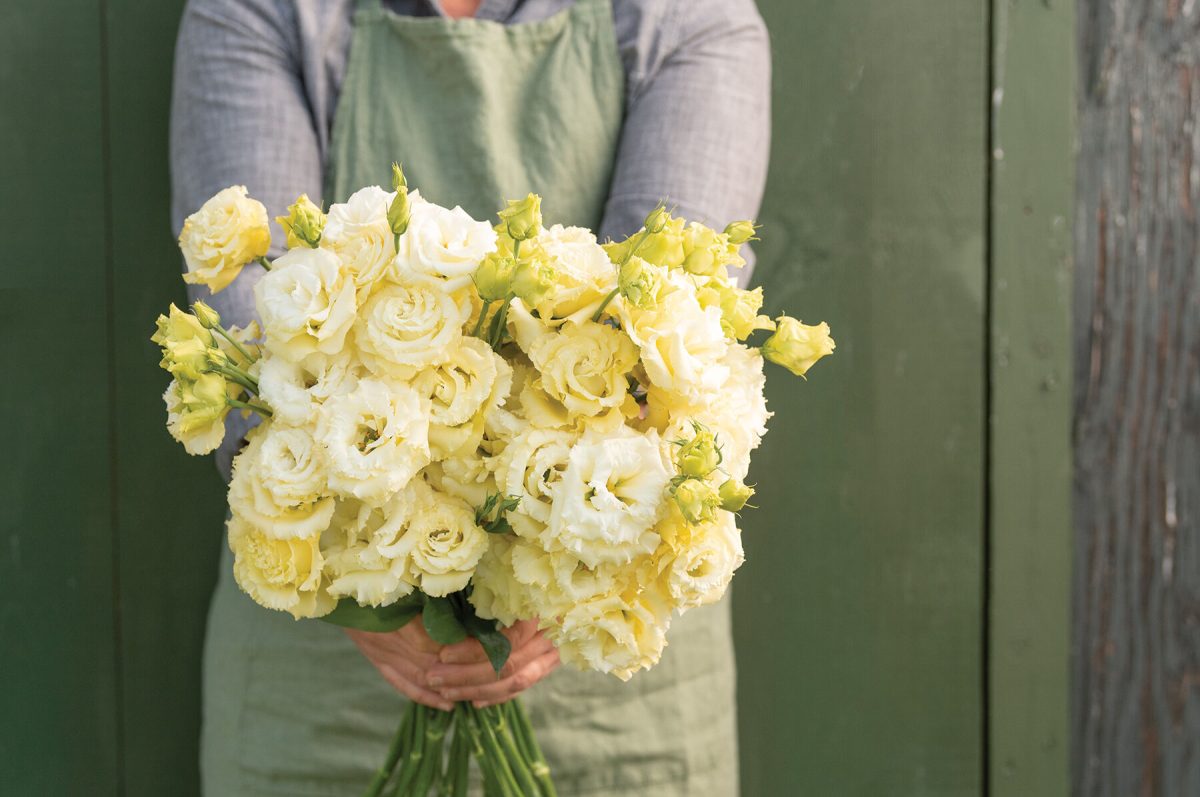 Voyage 2 Yellow II – Lisianthus