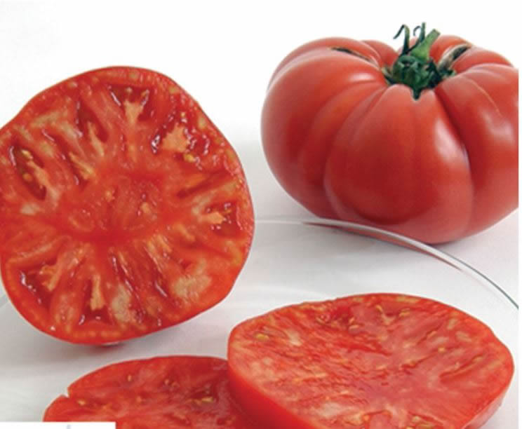 Brandywine/Shin Cheong Gang Grafted – Organic Tomato Seed