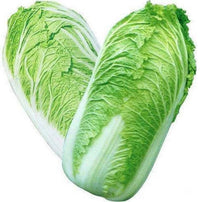 Cabbage, Chinese- Wombok