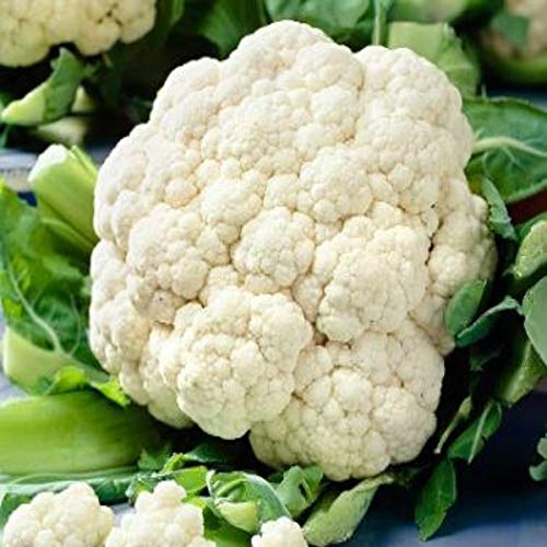 Cauliflower Super Snowball Vegetable Seeds