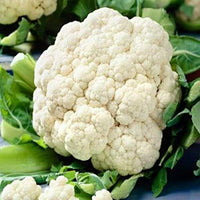 Cauliflower Super Snowball Vegetable Seeds