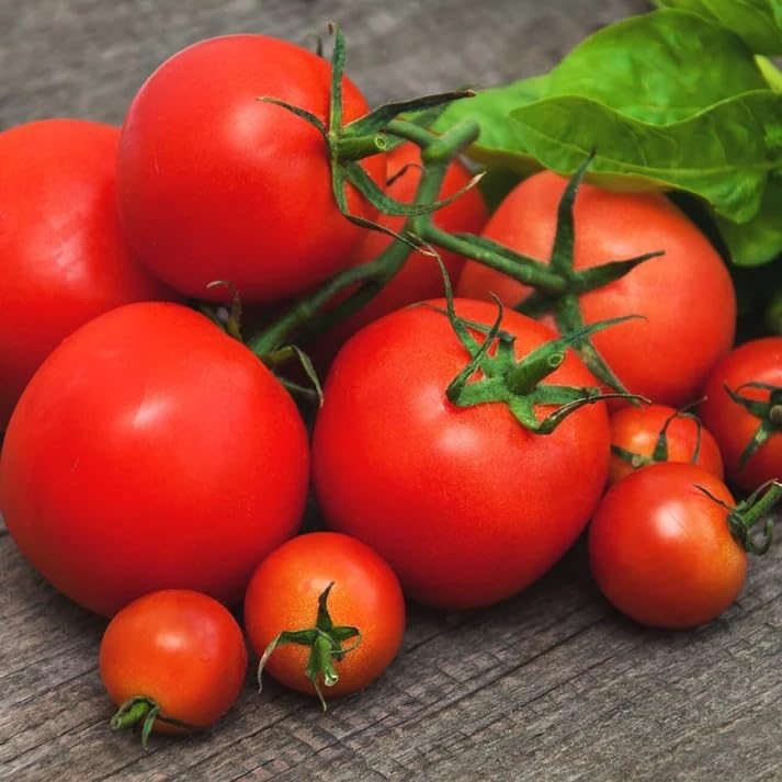 Tomato Round Vegetable Seeds