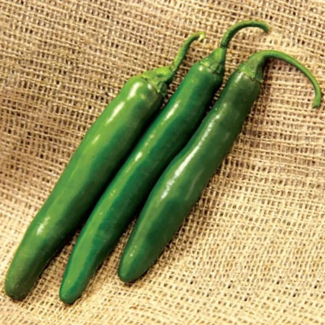 Altiplano – Serrano Pepper Seed