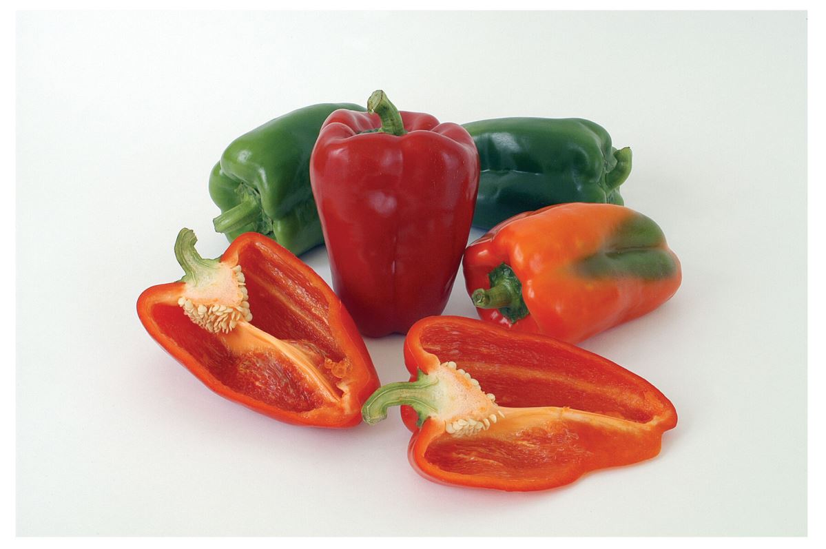 Ace – Bell Pepper Seed