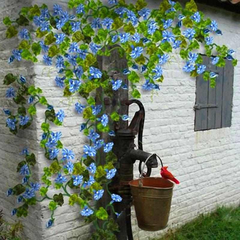 Perennial Plant Garden Decoration Vines Climbing Clematis Seed