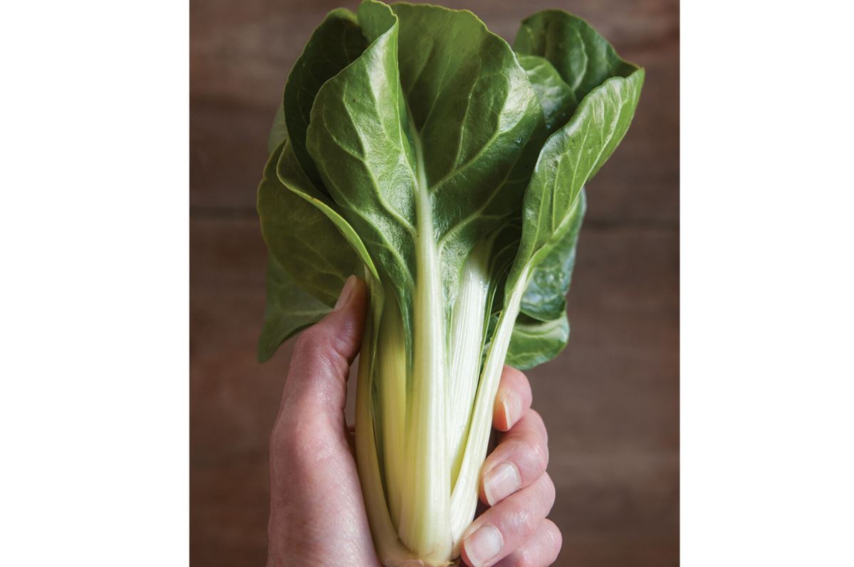 Barese – Swiss Chard Seed