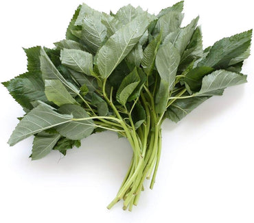 Egyptian Spinach