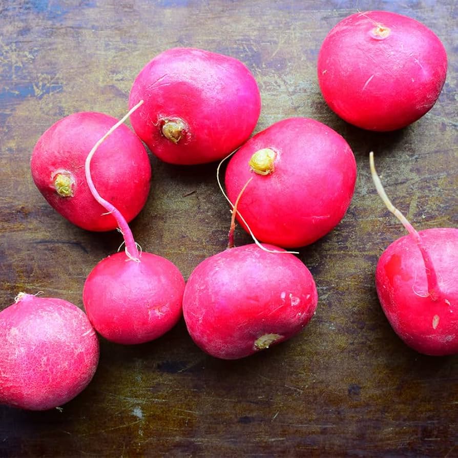 Radish- Pink Celebration