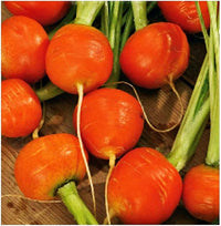 Carrot- Mercado De Paris