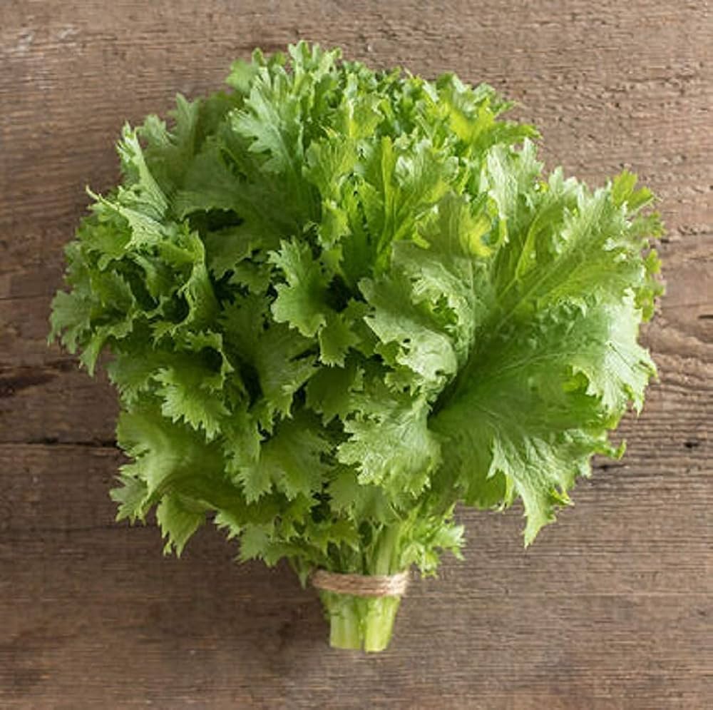 Mustard Greens- Ruffled Wasabina