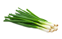 White Spear – Onion Seed