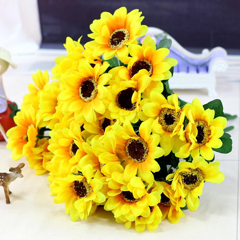 Four seasons broadcast viewing balcony pots of dwarf sunflower seeds