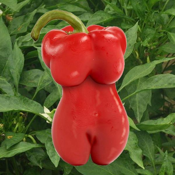 Sexy Beauty Pepper Seeds Square Ornamental Red Bell Pepper Seed