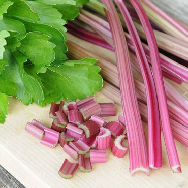 Celery- Peppermint Stick