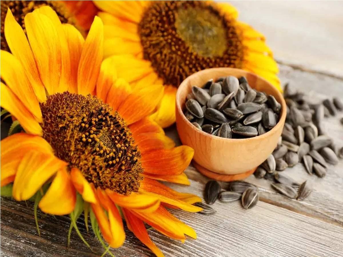 Orange  – Sunflower Seed