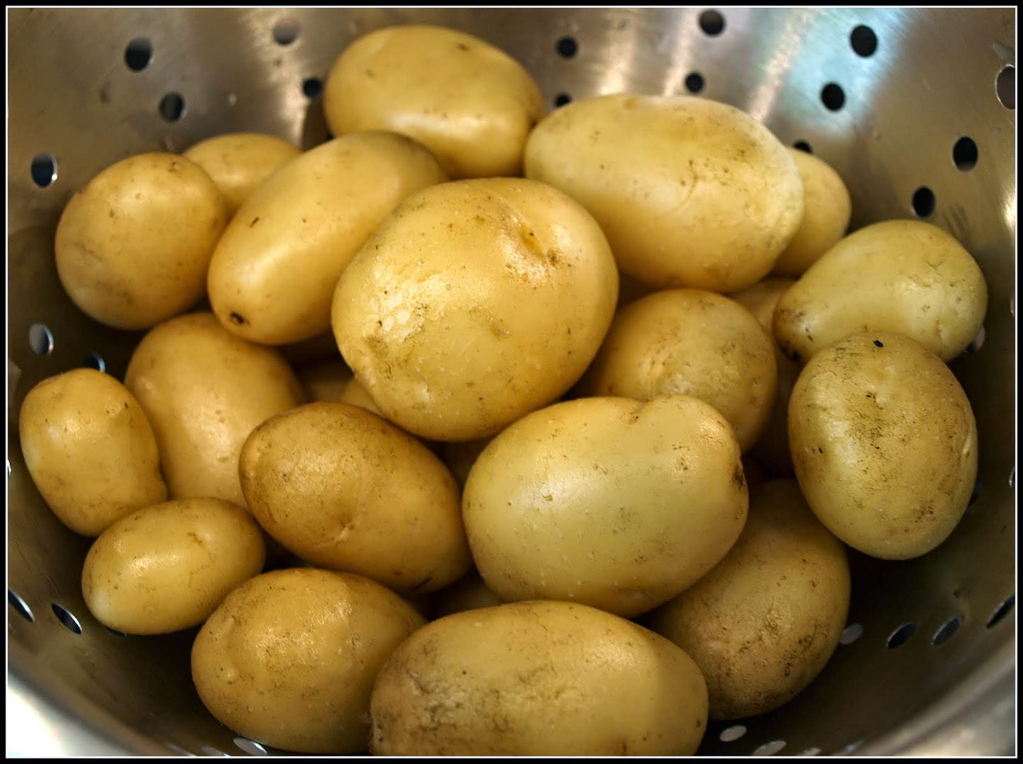 Certified Seed Potato- King Edward