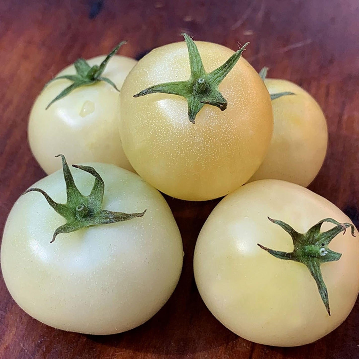 Tomato- White Beauty