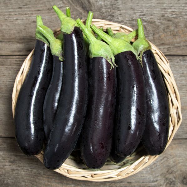 Turkish Delight – Organic Eggplant Seed