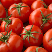 Tomato Marglobe Organic Vegetable Seeds