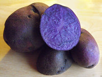 Adirondack Blue – Purple Seed Potatoes