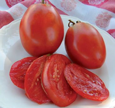 Tomato- Australian Red