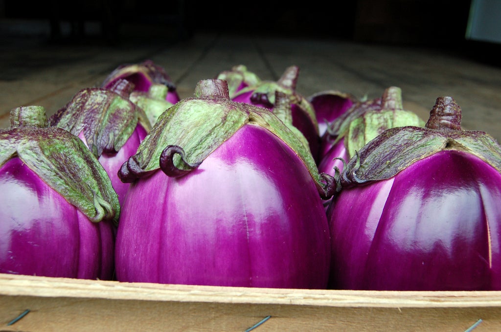 Beatrice – Eggplant Seed