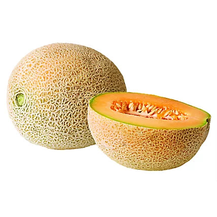 Athena – Melon Seed