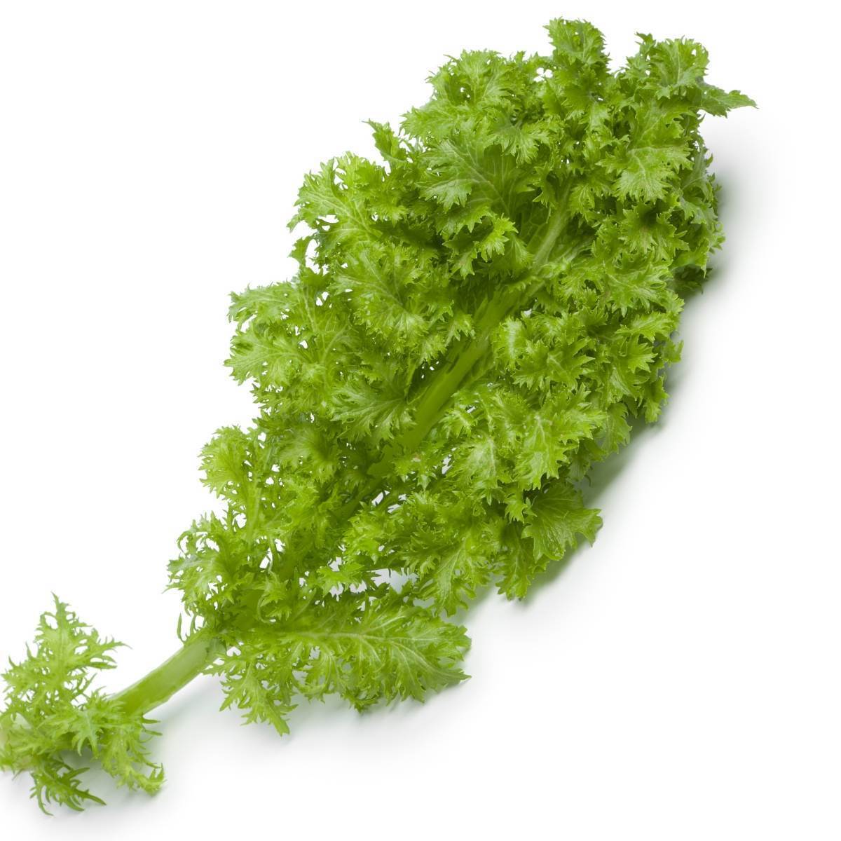 Mustard Greens- Wasabi