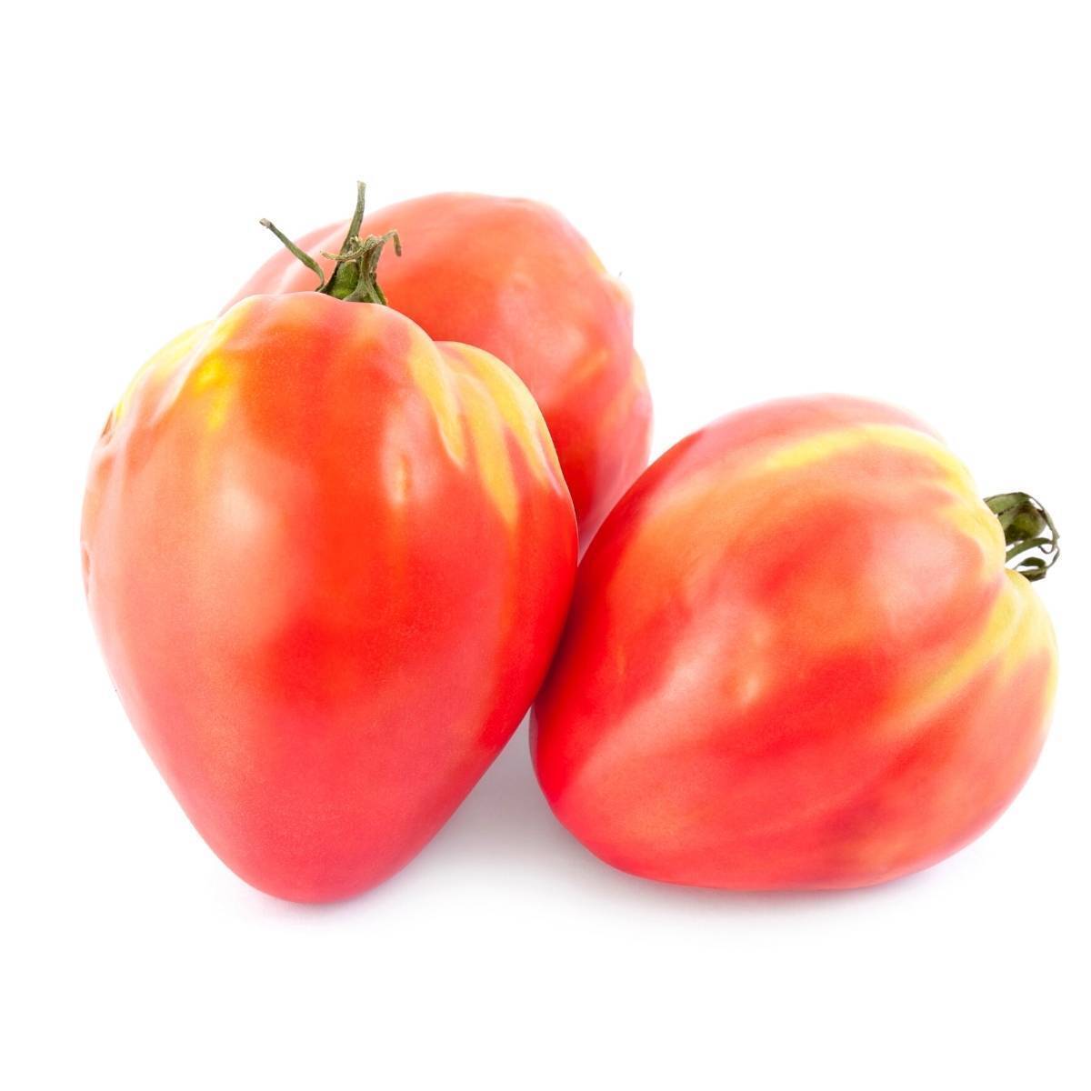 Tomato- Oxheart Red