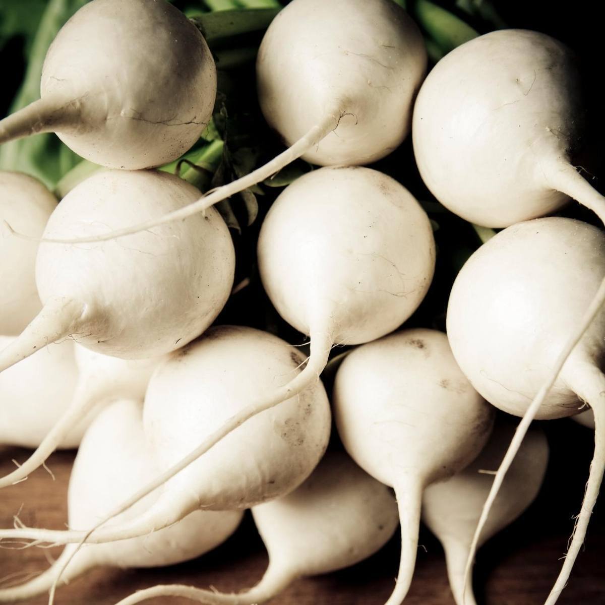 Radish- White Beauty