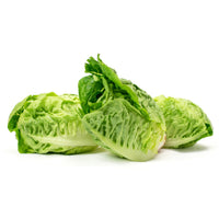 Lettuce- Little Gem