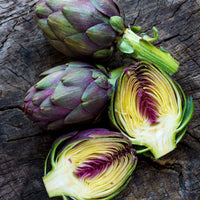 Artichoke- Purple Headed