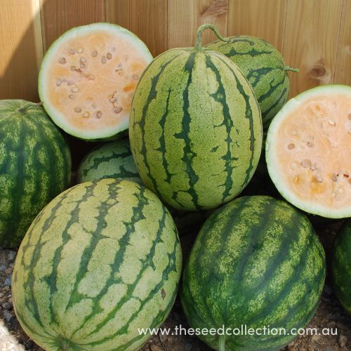 Watermelon- Clay County