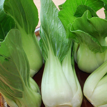 Chinese Cabbage, Pak Choi - White Stem