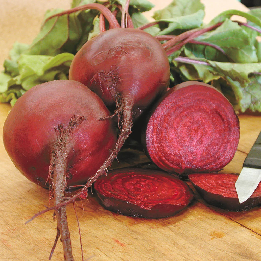 Beet, Early Wonder Tall Top Microgreen Seed