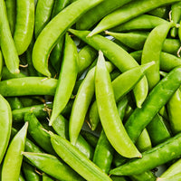 Sugarsnap Pea- Sugar Bon