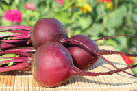 Beetroot- Egyptian Turnip Rooted