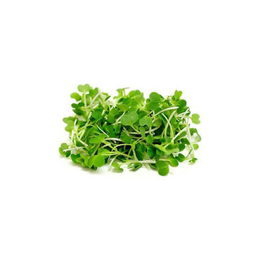 Pak Choy Green - Microgreen Seeds