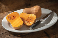 Waldo PMR – Organic Butternut Squash Seed