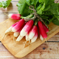 Radish- French Breakfast