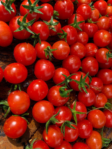 Tomato- Cherry Cocktail