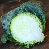 Tiara – Organic Cabbage Seed