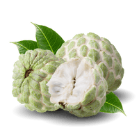 Sugar Apple